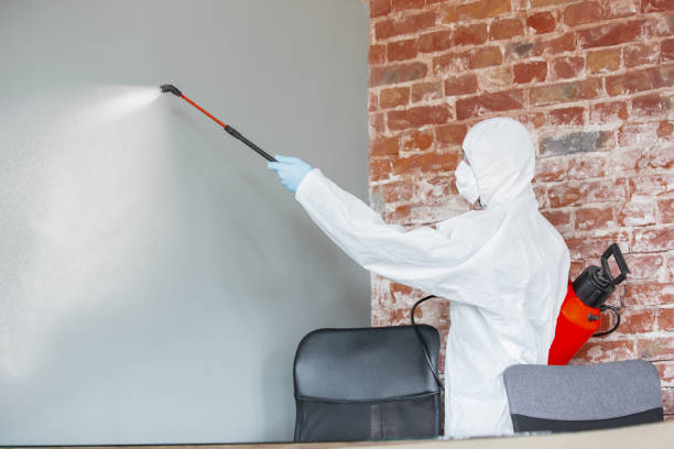 Best Mold Prevention Services  in Roseville, CA
