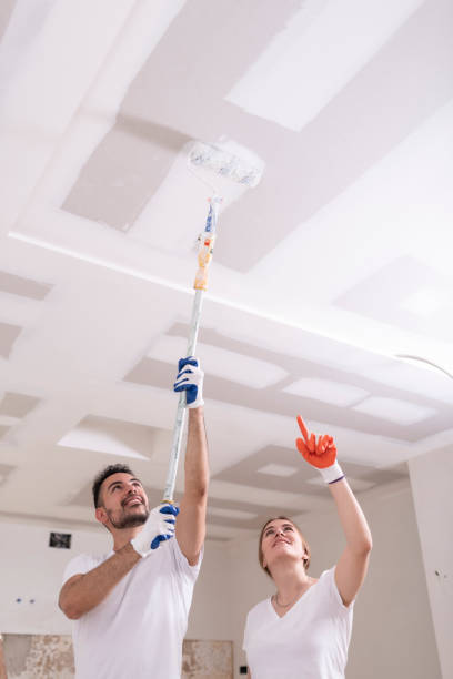 Best Air Quality Testing for Mold Spores  in Roseville, CA