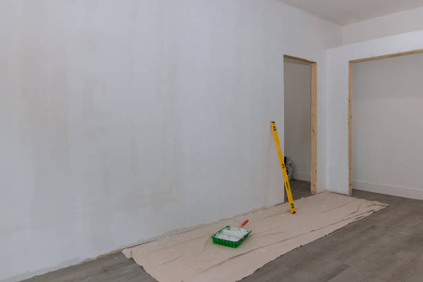 Best Basement Mold Removal  in Roseville, CA