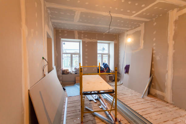 Best Post-Construction Mold Inspection  in Roseville, CA